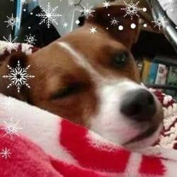 Meet your Posher, Michelle - Picture 1 of 1